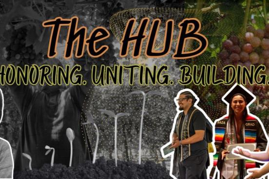 Hub